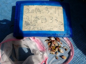 沖縄　ダイビング　慶良間　保全活動