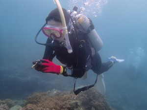 沖縄　ダイビング　アドヴァンス　FUN