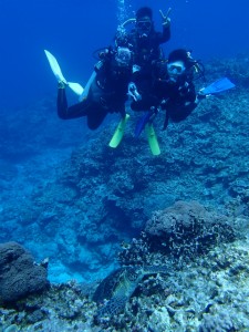 沖縄　ダイビング