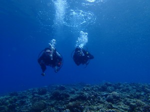 沖縄　ダイビング　アドヴァンス　FUN