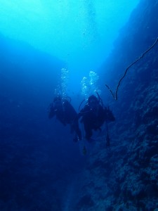沖縄　ダイビング　ライセンス　オープンウォーター