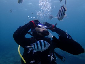 沖縄　ダイビング　ＯＷＤ　オープンウォーター　ライセンス