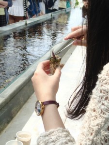 沖縄　ダイビング　ネイチャーワークス　サンゴ