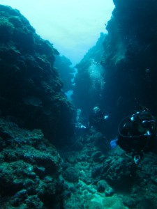 沖縄　ダイビング