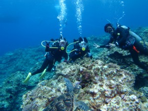 沖縄　ダイビング　慶良間　FUN　ファン　体験