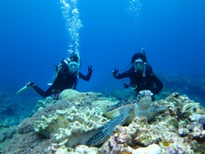 沖縄　ダイビング　慶良間　FUN　ファン　体験
