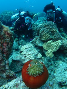 沖縄　ダイビング　慶良間　FUN　ファン　体験