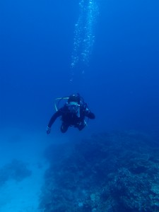 沖縄　ダイビング　ライセンス　オープンウォーター
