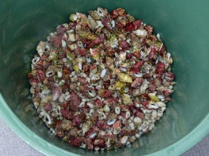 沖縄　ダイビング　慶良間　保全活動