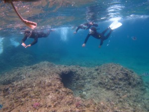 沖縄　スノーケル