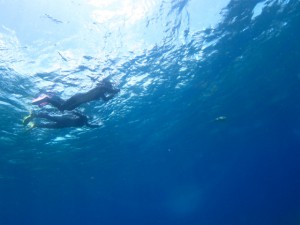 沖縄　ダイビング　慶良間　ＦＵＮ　体験　シュノーケリング