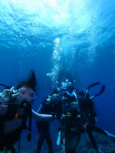 沖縄　ダイビング　慶良間　ＦＵＮ　体験　シュノーケリング