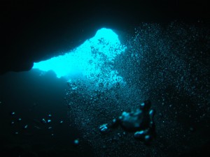 沖縄　ダイビング　ミニドリ