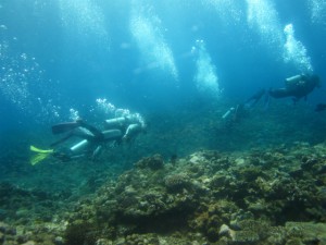 沖縄　ダイビング