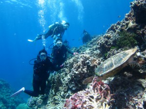 沖縄　ダイビング　慶良間　体験