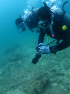 沖縄　ダイビング