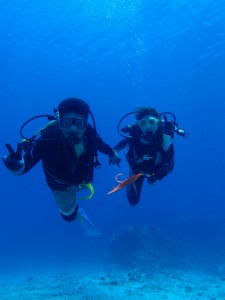 沖縄　ダイビング　慶良間　体験