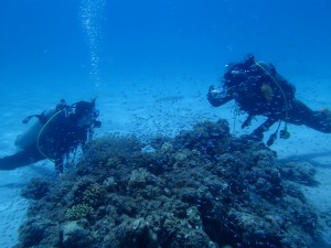沖縄　ダイビング　ライセンス講習　オープンウォーター