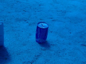 沖縄　ダイビング　慶良間　ＦＵＮ　ＡＯＷ講習　ＰＡＤ