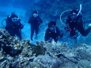 沖縄　ダイビング　慶良間　ＦＵＮ　ＡＯＷ講習　ＰＡＤ