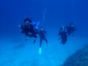 沖縄　ダイビング　慶良間　ＦＵＮ　ＡＯＷ講習　ＰＡＤ