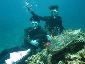 沖縄　ダイビング　慶良間　ＦＵＮ　体験