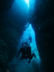 沖縄　ダイビング　残波岬　ＦＵＮ