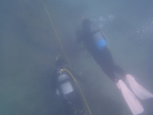 沖縄　ダイビング　ＡＯＷ　ビーチ