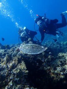 沖縄　ダイビング　慶良間　ＦＵＮ　体験