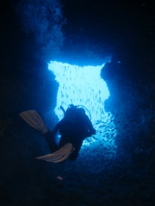 沖縄　ダイビング