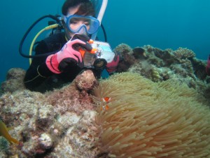 沖縄　ダイビング