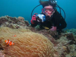 沖縄　ダイビング