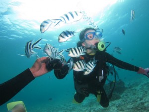 沖縄　ダイビング