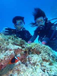 沖縄 ダイビング 慶良間