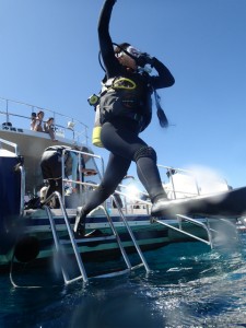 沖縄 ダイビング 慶良間