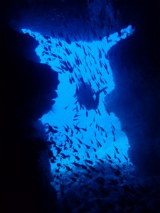 沖縄　ダイビング　万座ＦＵＮ