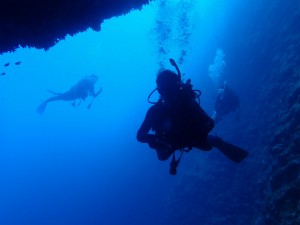 沖縄　ダイビング　万座ＦＵＮ