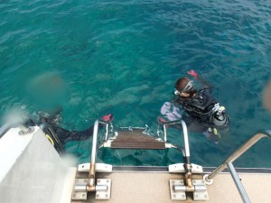 沖縄　ダイビング　慶良間　体験ダイビン