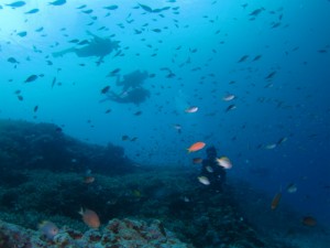 沖縄　ダイビング　慶良間　ＦＵＮ　体験