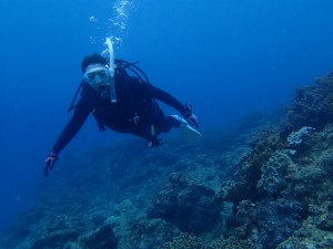 沖縄　ダイビング　ＯＷＤコース　ライセンス講習