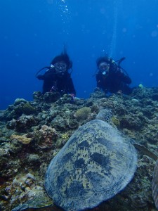 沖縄　ダイビング　慶良間　ＦＵＮ　体験