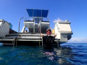 沖縄　ダイビング　慶良間　体験ダイビング　スノーケリング