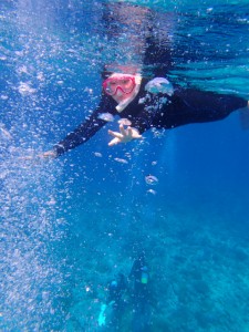 沖縄　ダイビング　慶良間　体験ダイビング　スノーケリング