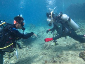 沖縄　ダイビング　ライセンス講習　オープンウォーター