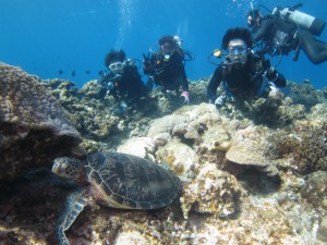 沖縄　ダイビング　慶良間　ＦＵＮダイビング　体験ダイビング