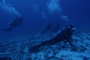 沖縄　ダイビング