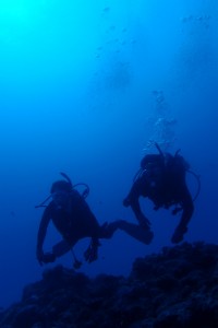 沖縄　ダイビング　慶良間　ＦＵＮダイビング　体験ダイビング