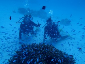 沖縄　ダイビング　慶良間　ＦＵＮダイビング　体験ダイビング