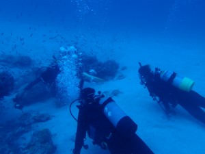 沖縄　ダイビング　慶良間　ＦＵＮダイビング　体験ダイビング