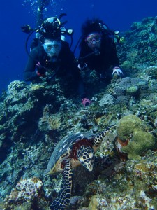 沖縄　ダイビング　慶良間　ＦＵＮダイビング　体験ダイビング